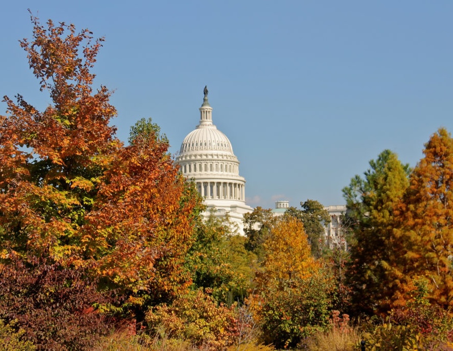 National Council for the Social Studies Conference